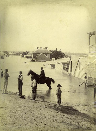 people en horse blanco caballos foto y flood inundacion negro personas antigua queensland floods fotografía statelibraryofqueensland slq