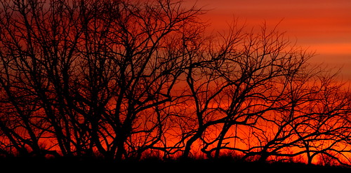 blue trees red sky orange nature clouds sunrise perfectsunsetssunrisesandskys