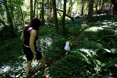 sequoia leading grandma neeta through the woods    M… 