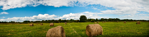 nature field landscape farm panoramic hay bales