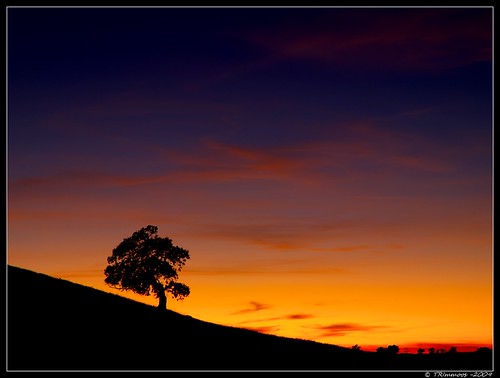 california lighting blue sunset sky tree nature night clouds wow landscape oak glow vivid olympus explore e3 sacramentocounty californialandscape zd 1260mm olympuse3