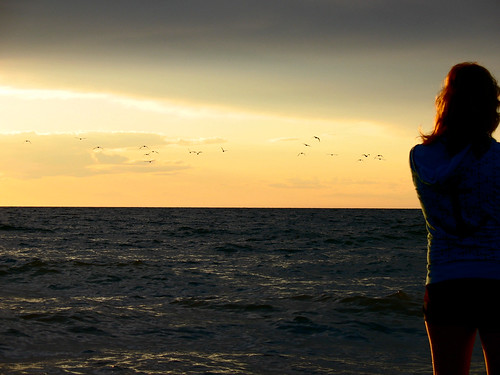 sunset seagulls lake beach girl shore