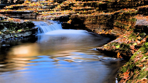 canada fall leaves automne river brook feuilles ruisseau québec rivière afhht photoquébec