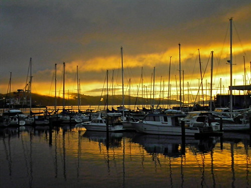 morning light sea newzealand sky cloud reflection marina sunrise canon gold harbour yacht wellington