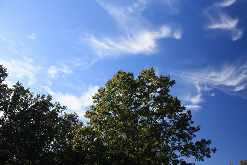 trees sky nature clouds arkansas