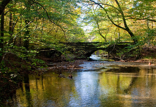 bridge tree fall water creek canon landscape eos branch ar bare east twig arkansas saline ouachitanationalforest shadylake 5dmarkii canon5dmarkii