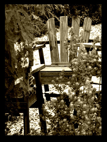 plants sepia landscape blackwhite chair framed edited memories treated fujifilmfinepixs5700 florenceazusa daarklands dscf3546