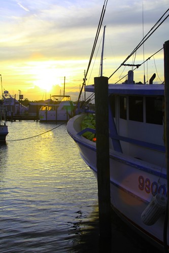 sunset mobile alabama dogriver shrimpboat cdexpress