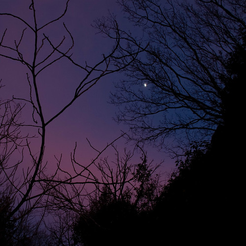 pink sunset sky italy moon holiday rome silhouette dark purple