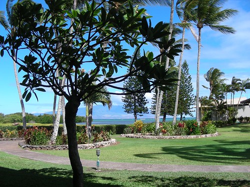 geotagged hawaii molokai wavecrest