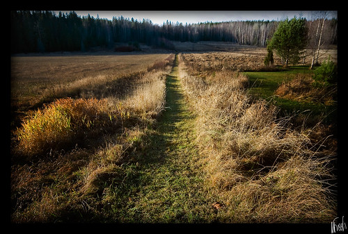 road winter nature landscape sweden framed perspective farmland cultural närke baggetorp bäckatorp