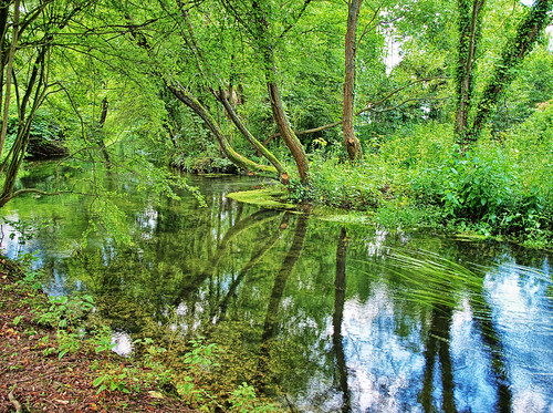 trees england reflection water river geotagged winchester itchen geo:lat=5106553 geo:lon=1307554 winnallmoorswinnallmoors