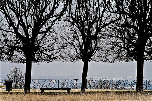 france europe hiver terrasse paysage arbre iledefrance banc stgermainenlaye herbe graphique yvelines barrière rambarde