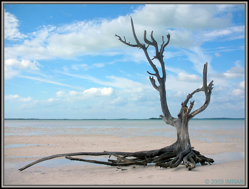 beach blue clouds framed imran imrananwar landscapes marine nature nikon ocean outdoors peaceful s6 sky stilllife tranquility travel trees vacation water