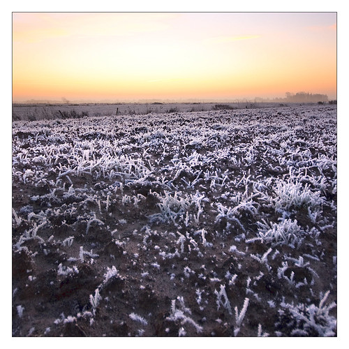 sun snow ice water netherlands sunrise friesland gorredijk