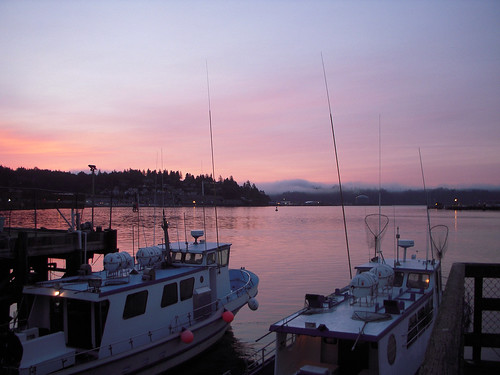 oregon sunrise boat pelagic