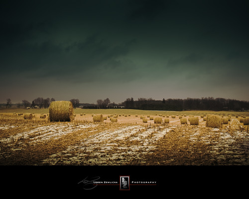 november autumn trees winter sky snow cold fall field wisconsin rural season landscape photography countryside photo midwest image farm horizon country union picture overcast end land hay agriculture hayfield bales treeline 2008 canonef1740mmf4lusm haybales canoneos5d rockcounty lorenzemlicka