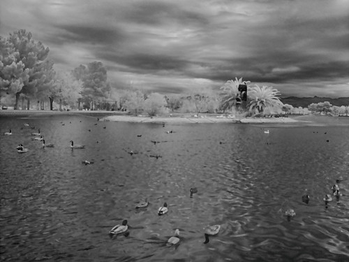 ir infrared sunset park las vegas black white raspberry pi noir v2 950nm trees pinecones ducks water easter island moa head mountains clouds