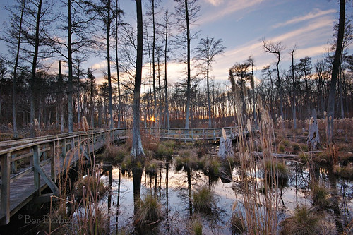 sunset reflection mississippi d70s swamp boardwalk cypress naturetrail sardis sigma1020 johnwkylestatepark kylestatepark clearspringsnaturetrail