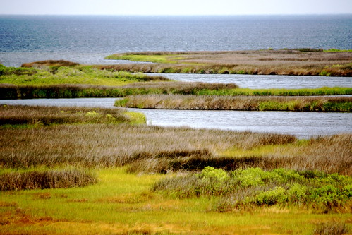 ocean blue orange brown white green grass yellow wildlife northcarolina sound outerbanks obx refuge