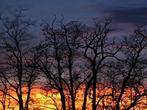 sunset orange france color colour tree silhouette yellow clouds dark landscape fire purple branches savignysousfaye