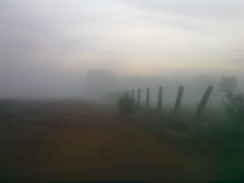 cameraphone morning mist rural sunrise moblog nokia bangalore running run e75 hessarghatta ournativevillage