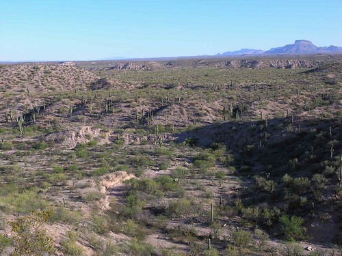 arizona usa mountains cacti landscapes desert unitedstatesofamerica 2009 gpsapproximate