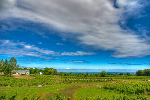 ontario landscape day niagara winery googleearth hdr 93793499n00 summervacation2009 pwpartlycloudy