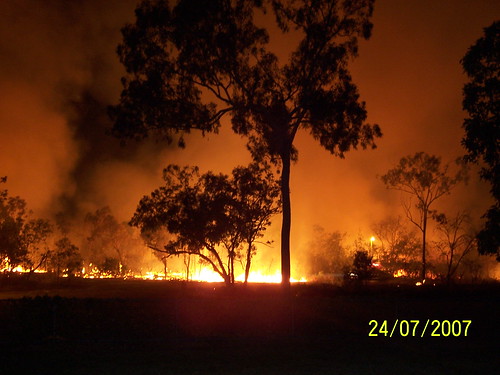 fire eucalypt eucalyptus gumtree bushfire arnhemland grassfire controlburn fireadaption owen65 owentheworld
