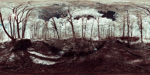 forest ir infrared wald infrarot undertable assamstadt creattività