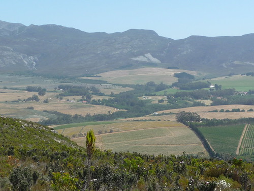 mountain hermanus landscape vineyard valley overberg hemelenaarde