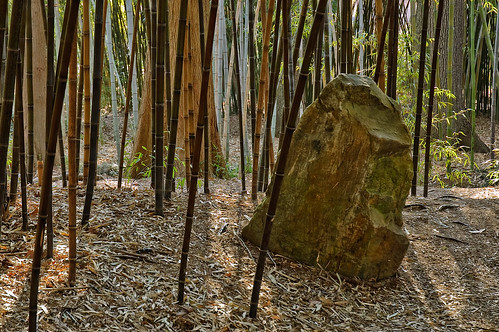 rock japanesegarden birmingham alabama bamboo birminghambotanicalgardens