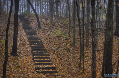 stairs forest illinois hill steps rockford jalimager