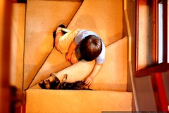 "i found the kitty on the stairs!"    MG 4925 
