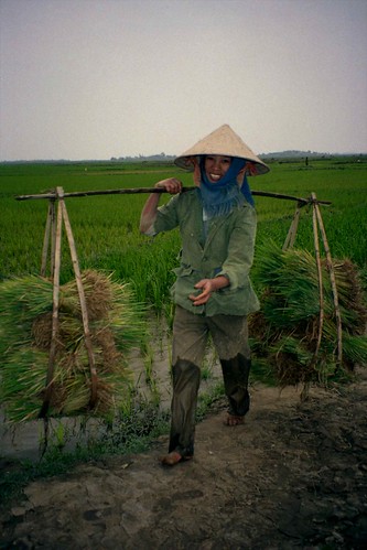 people plants water landscapes asia hats vietnam 1995 haihung scanneg gpsapproximate timeincorrect