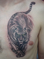 white tiger (Dejavu Tattoo Studio Chiangmai Thailand)