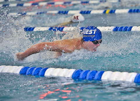 colony_swimmeet_Quest28