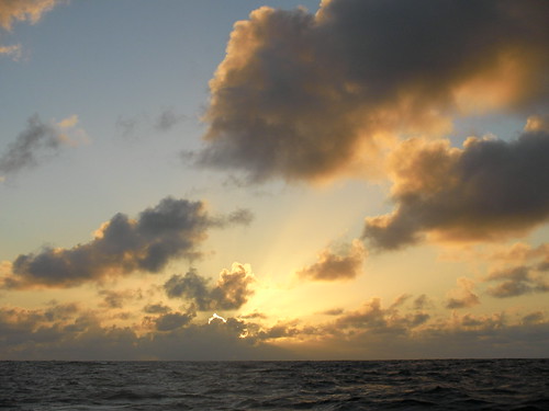 inspiration hawaii pacific adventure environment kiribati tarawa rozsavage oceanrower climatechangerozsavage