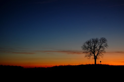 sunset tree nature silhouette one 1 twilight nikon dusk indiana hush madisoncounty lonelytree solitarytree standout d40 jeremystockwellpix nikond40
