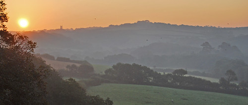 birds misty sunrise landscape flying cornwall coombevalley