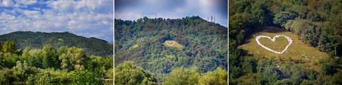 heart big forest mountain landscape ragogna friuli italy italia