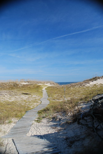 ocean travel autumn beach walking virginia path dunes wandering backbay