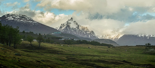 patagonia mountains green nature argentina landscape tierradelfuego ushuaia outdoors cows findelmundo lucescamarayavioncom travel6d