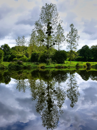 reflection bretagne vert rivière reflets vannes réflection blavet rflet interestingpictures