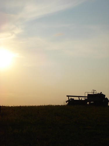 sunset field minnesota backlight farm hay swatter lakepark alfalfa swather