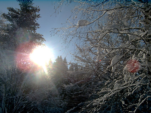winter italy snow 2004 sunrise carnia fvg ud friuli friuliveneziagiulia nordest fornidisotto altavaltagliamento