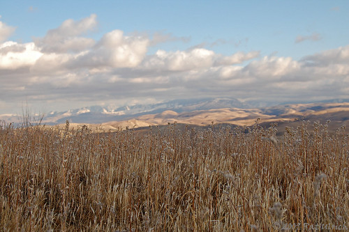 d50 landscapes nikond50 hills grasslands fromthetop carrizoplainnationalmonument ©patulrich