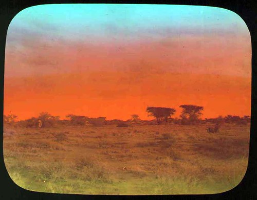 africa sunset red expedition landscape mammals somalia zoology 1896 carlakeley specimencollection dgelliot woqooyigalbeed