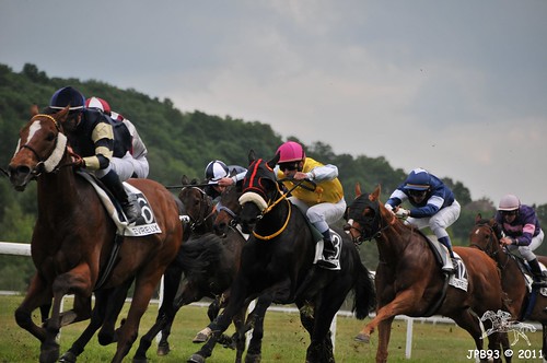 horses france racetrack racing jockey horseracing races thoroughbred courses chevaux eure hippodrome evreux balances hippisme pursang pesage