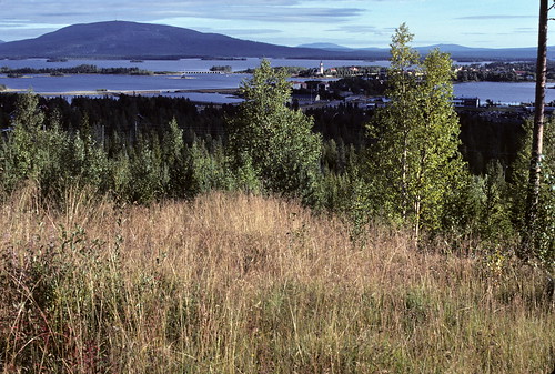 film forest nikon sweden scanner lakes slide arctic kodachrome 5000 1979 arcticcircle boreal subarctic hornavan arjeplog supercoolscan